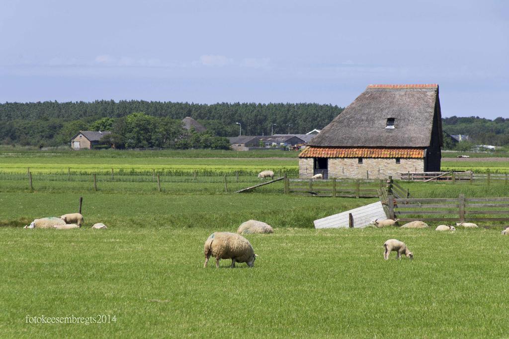 Vakantiepark Dennenoord Ден-Бурґ Екстер'єр фото